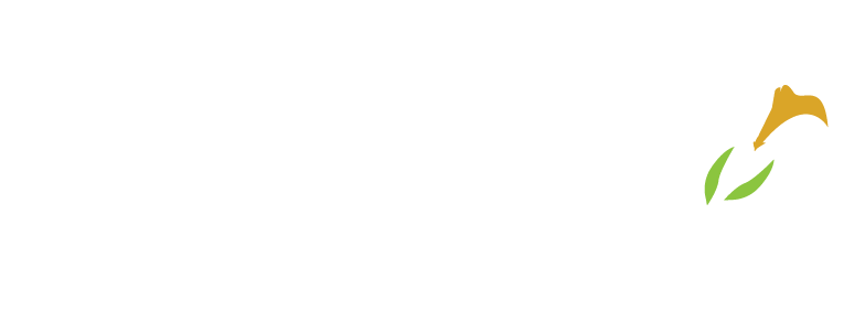FauxReal Flowers - Durham